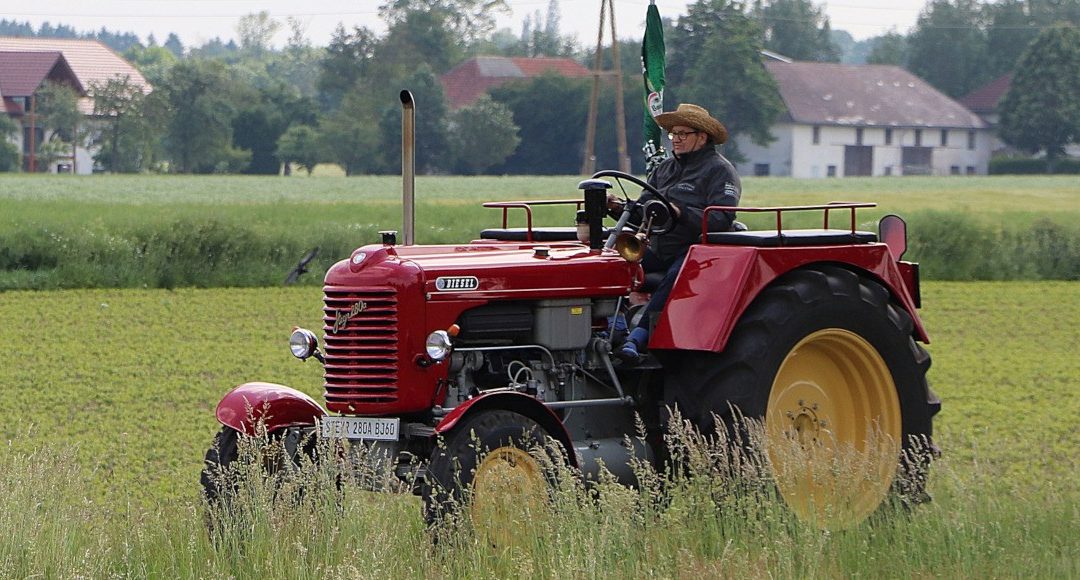 Czy azotany w wodzie wywołują nowotwory?